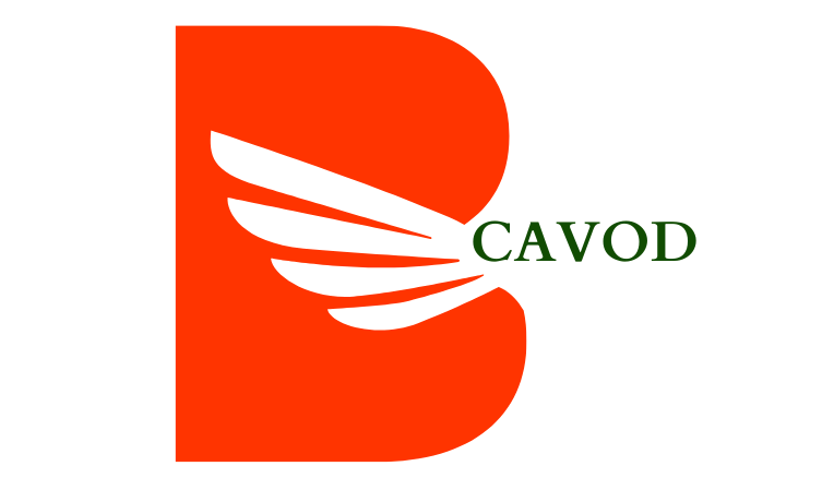 Welcome to Cavod India Pvt. Ltd